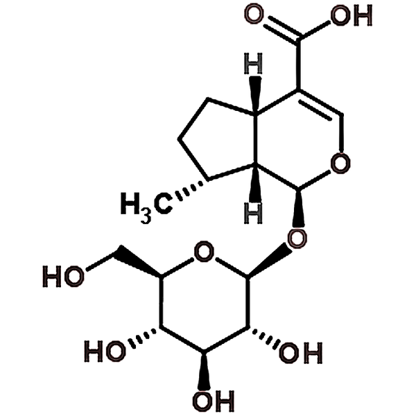 7-Deoxy-8-epi-loganic acid 88668-99-9