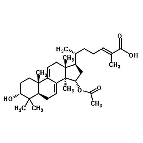 Ganoderic acid X 86377-53-9