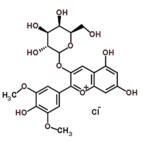 Malvidin 3-galactoside chloride 30113-37-2