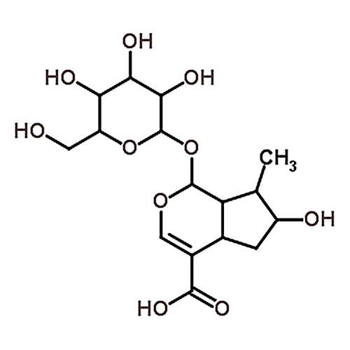 Loganic acid  22255-40-9 