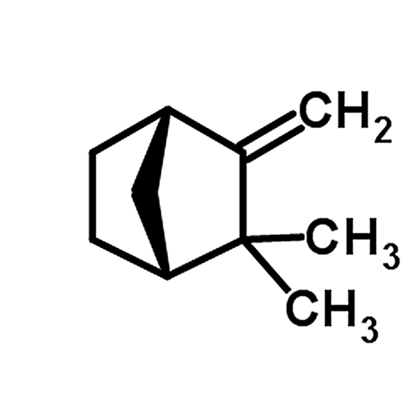 Camphene 79-92-5