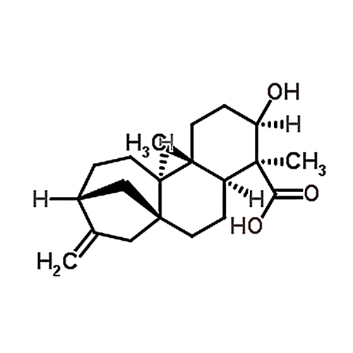 ent-3beta-Hydroxykaur-16-en-19-oic acid 66556-91-0