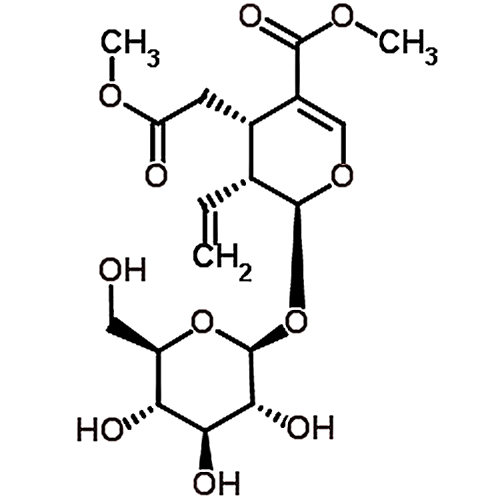 Secoxyloganin methyl ester 74713-15-8