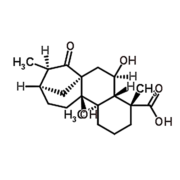 ent-6,9-Dihydroxy-15-oxo-16-kauren-19-oic acid 81264-00-8