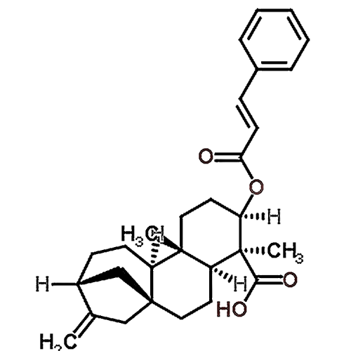 ent-3beta-Cinnamoyloxykaur-16-en-19-oic acid 79406-10-3