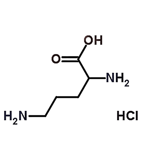 DL-Ornithine, monohydrochloride 1069-31-4