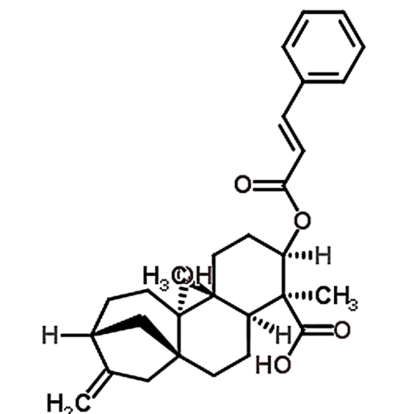 3alpha-Cinnamoyloxypterokaurene L3 79406-13-6
