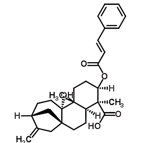 3alpha-Cinnamoyloxypterokaurene L3 79406-13-6