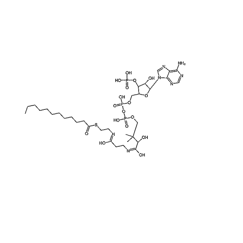 Lauroyl Coenzyme A, Free acid 6244-92-4
