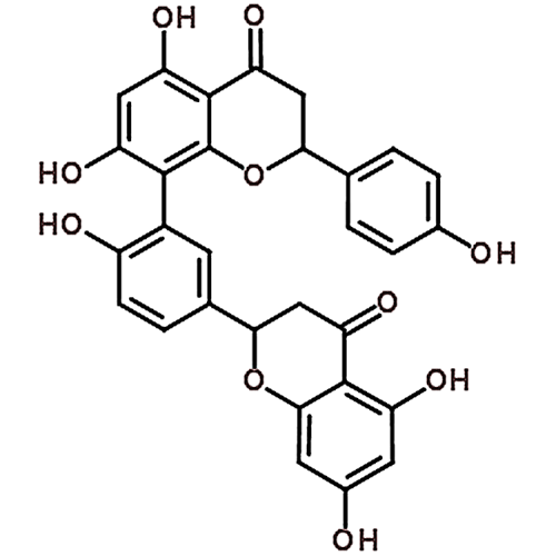 Tetrahydroamentoflavone 48236-96-0