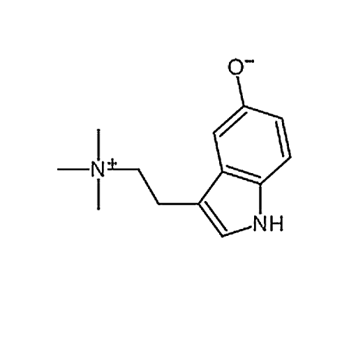 Bufotenidine  487-91-2