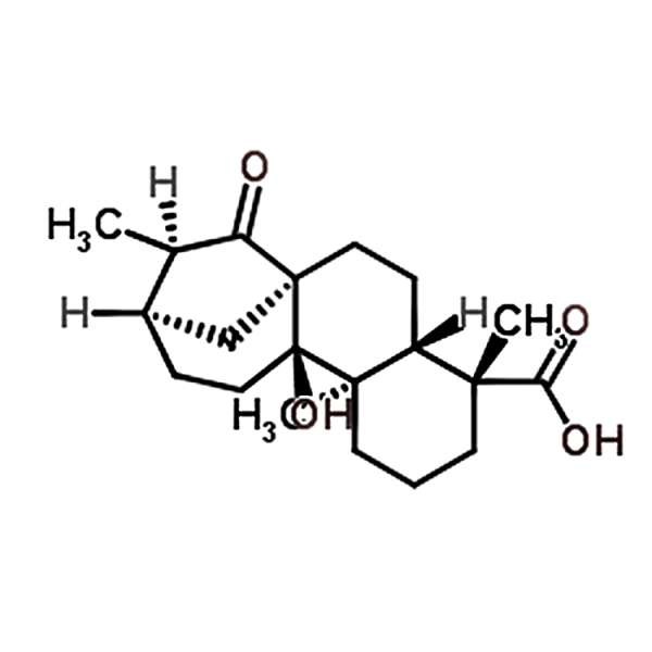 ent-9-Hydroxy-15-oxo-19-kauranoic acid 77658-45-8
