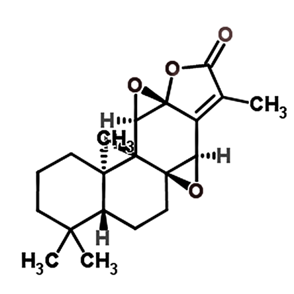 Jolkinolide B 37905-08-1