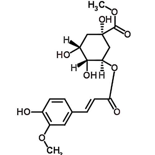 Methyl 3-O-feruloylquinate 154418-15-2