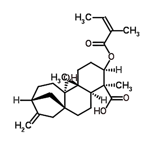 3alpha-Angeloyloxypterokaurene L3 79406-11-4