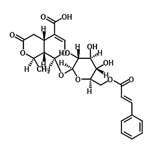 6'-O-Cinnamoyl-8-epikingisidic acid  1403984-03-1