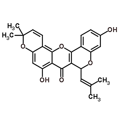Cyclomorusin 62596-34-3