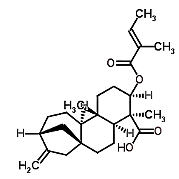 ent-3Beta-Tigloyloxykaur-16-en-19-oic acid 79406-09-0
