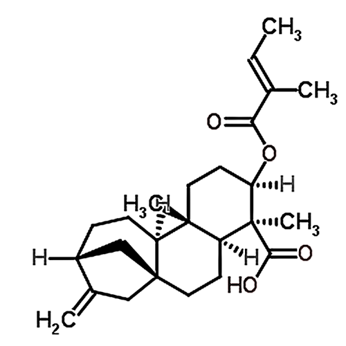 ent-3Beta-Tigloyloxykaur-16-en-19-oic acid 79406-09-0
