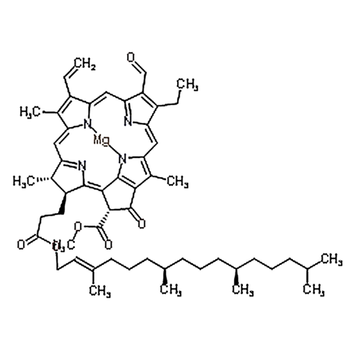 Chlorophyll b 519-62-0
