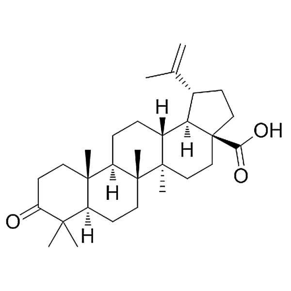 Liquidambaric acid 4481-62-3 