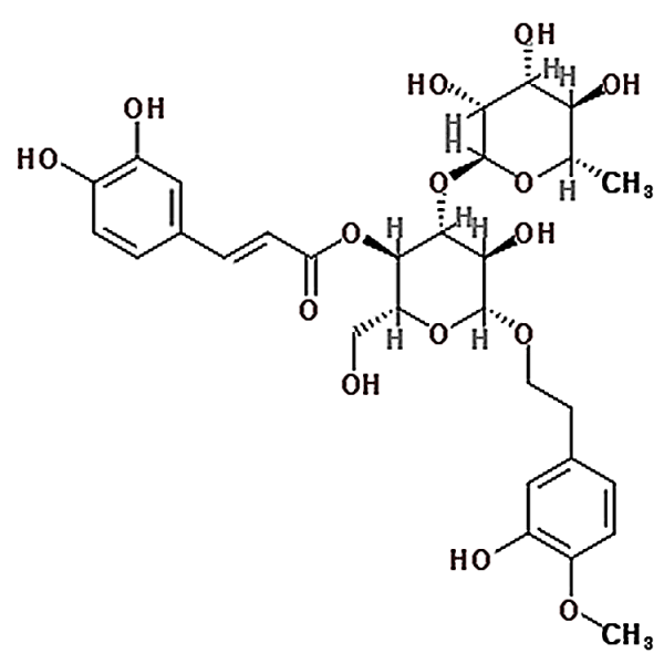 Cistanoside C 120406-34-0