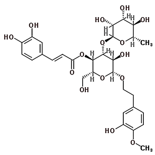 Cistanoside C 120406-34-0