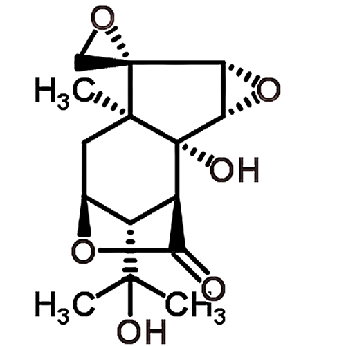 Coriatin 91653-75-7