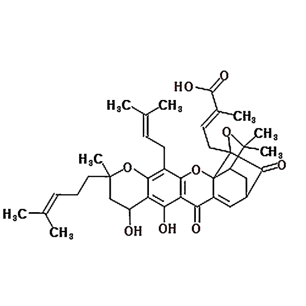 Neogambogic acid 93772-31-7