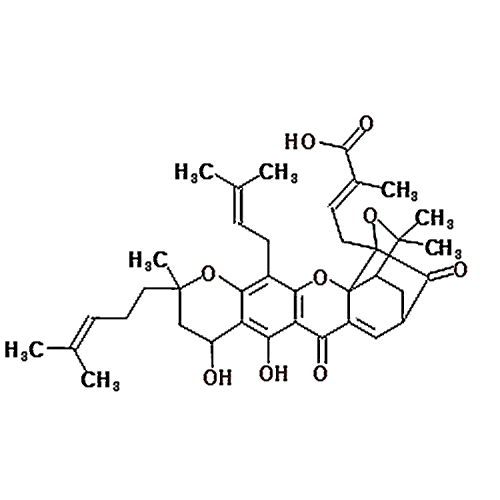 Neogambogic acid 93772-31-7