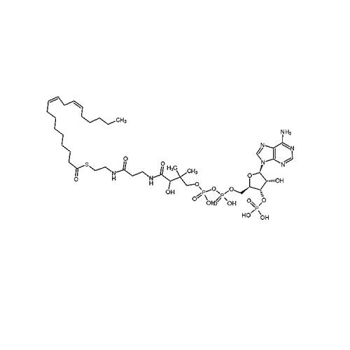 Linoleoyl Coenzyme A, Free acid 6709-57-5