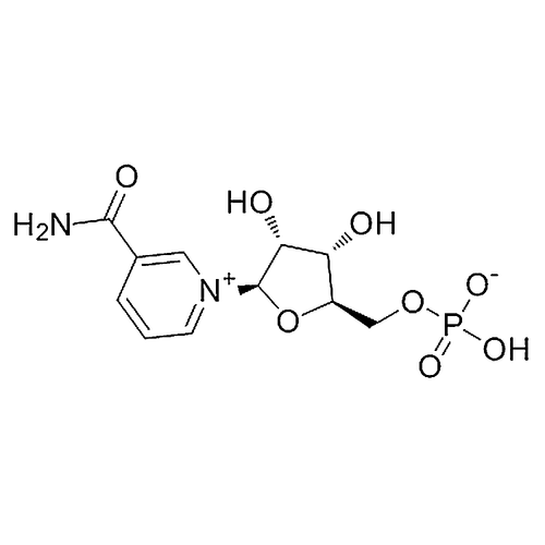 β-Nicotinamide Mononucleotide 1094-61-7