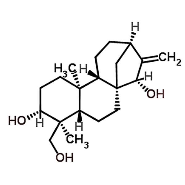 ent-16-Kaurene-3beta,15beta,18-triol  921211-29-2