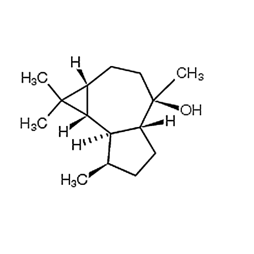 Globulol 489-41-8