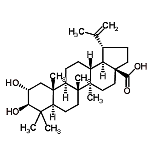 Alphitolic acid 19533-92-7