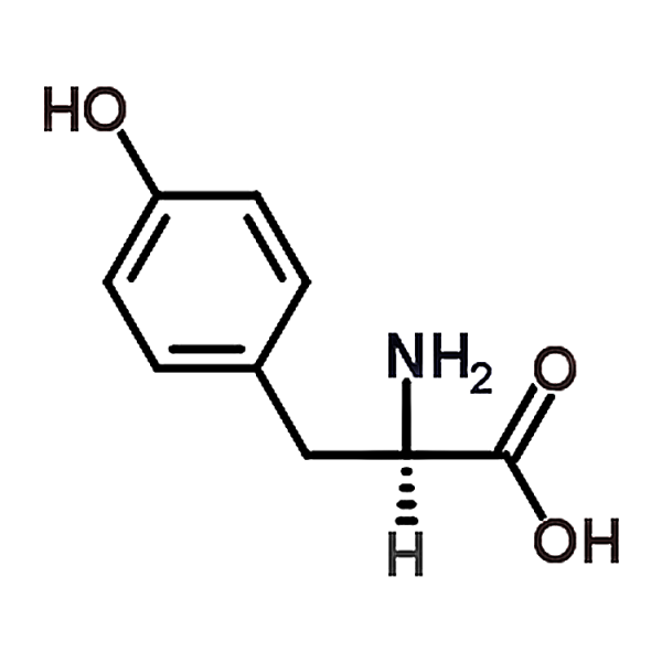 D-Tyrosine 556-02-5