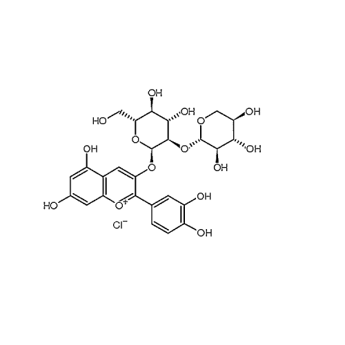 Cyanidin-3-O-sambubioside chloride 33012-73-6