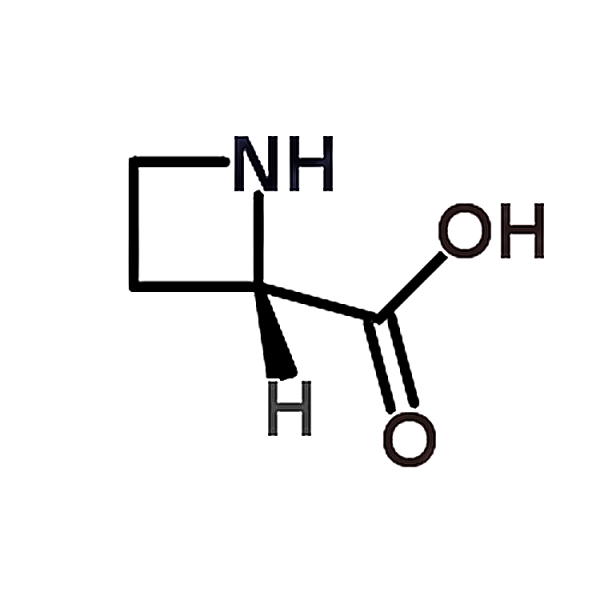 L-2-Azetidinecarboxylic acid 2133-34-8