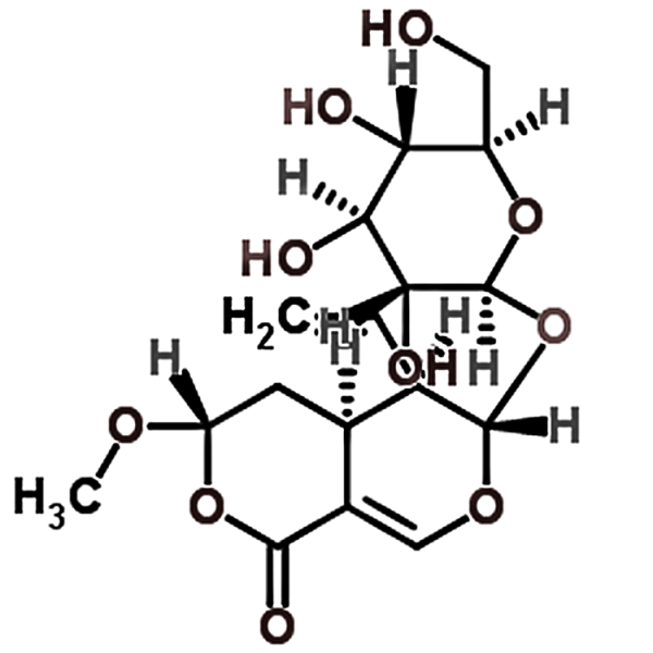 Epivogeloside 118627-52-4