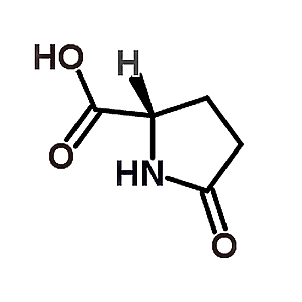 DL-Pyroglutamic acid 149-87-1