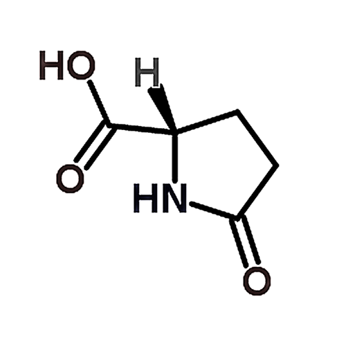 DL-Pyroglutamic acid 149-87-1
