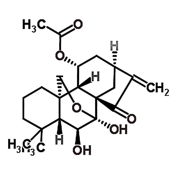 Longikaurin E 77949-42-9