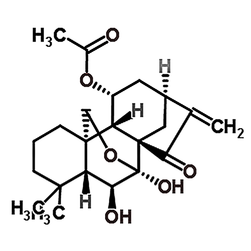 Longikaurin E 77949-42-9