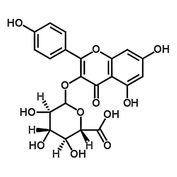 Kaempherol 3-O-β-glucuronide 22688-78-4