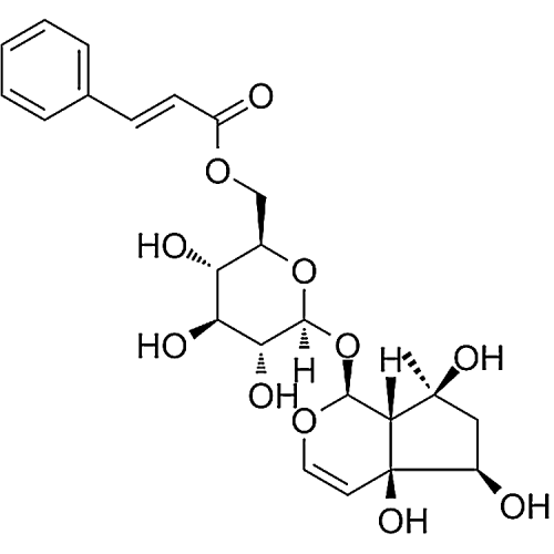 6'-O-cinnamoylharpagide 1245572-24-0