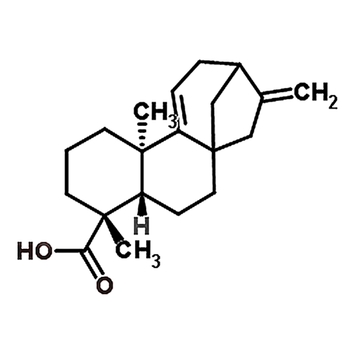 Grandiflorenic acid 22338-67-6