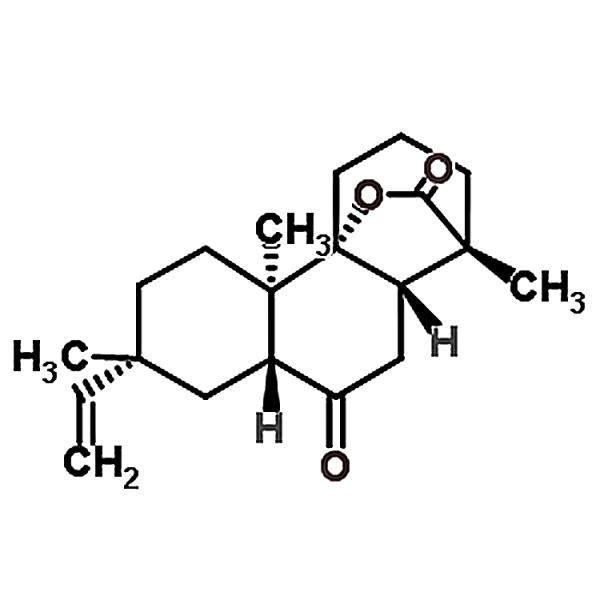 Rosenonolactone 508-71-4