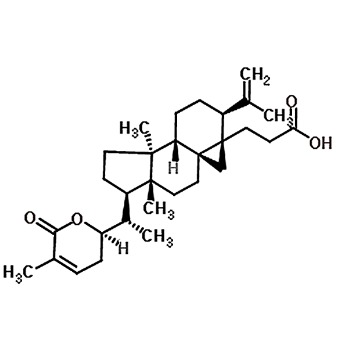 Schisanlactone E 136040-43-2