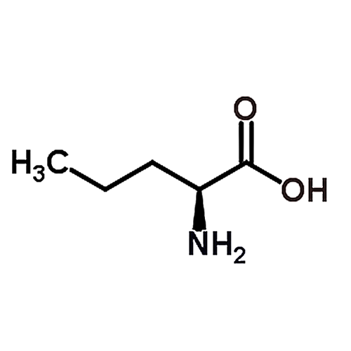 L-Norvaline 6600-40-4