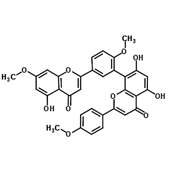 Sciadopitysin 521-34-6
